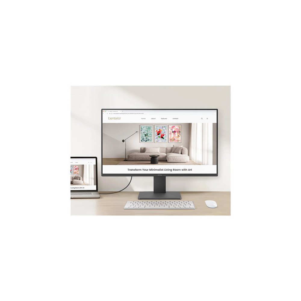 BenQ GW2491