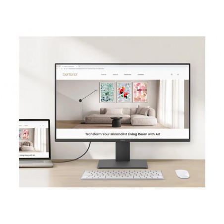 BenQ GW2491