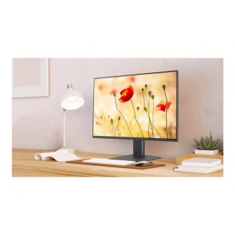 BenQ GW2491