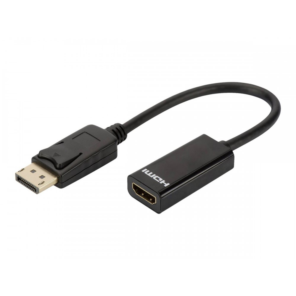 DLH Câble adaptateur DisplayPort pour HDMI DLH Câble adaptateur DisplayPort pour HDMI