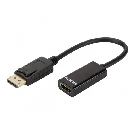 DLH Câble adaptateur DisplayPort pour HDMI